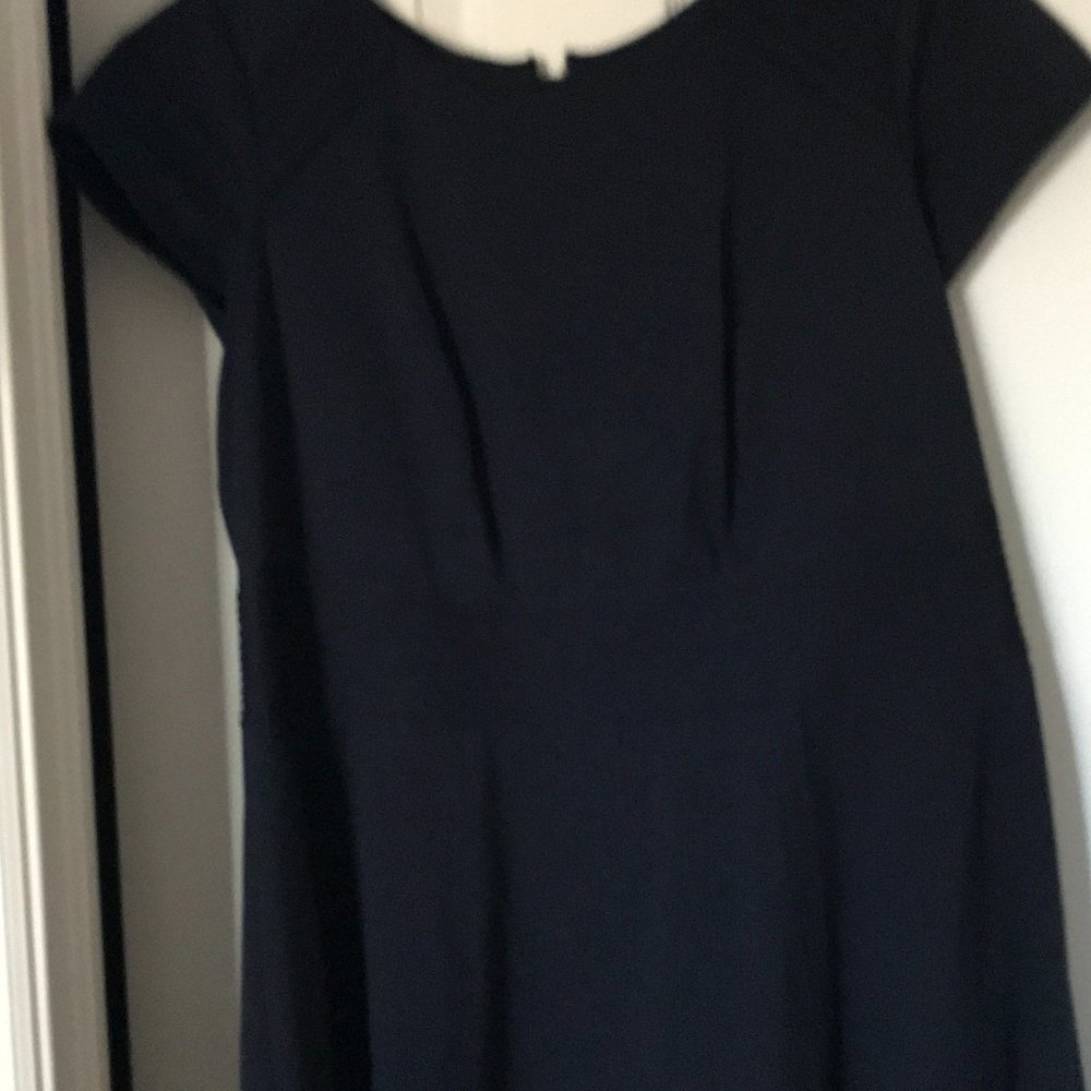 Navy Blue Plus Size Eliza J Dress